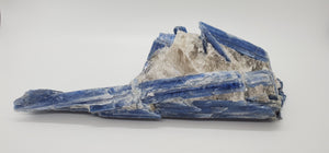 Kyanite and Quartz, Brasil