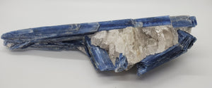 Kyanite and Quartz, Brasil