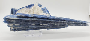 Kyanite and Quartz, Brasil