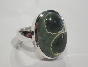 Ocean Jasper Ring in Sterling Silver