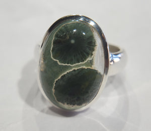 Ocean Jasper Ring in Sterling Silver