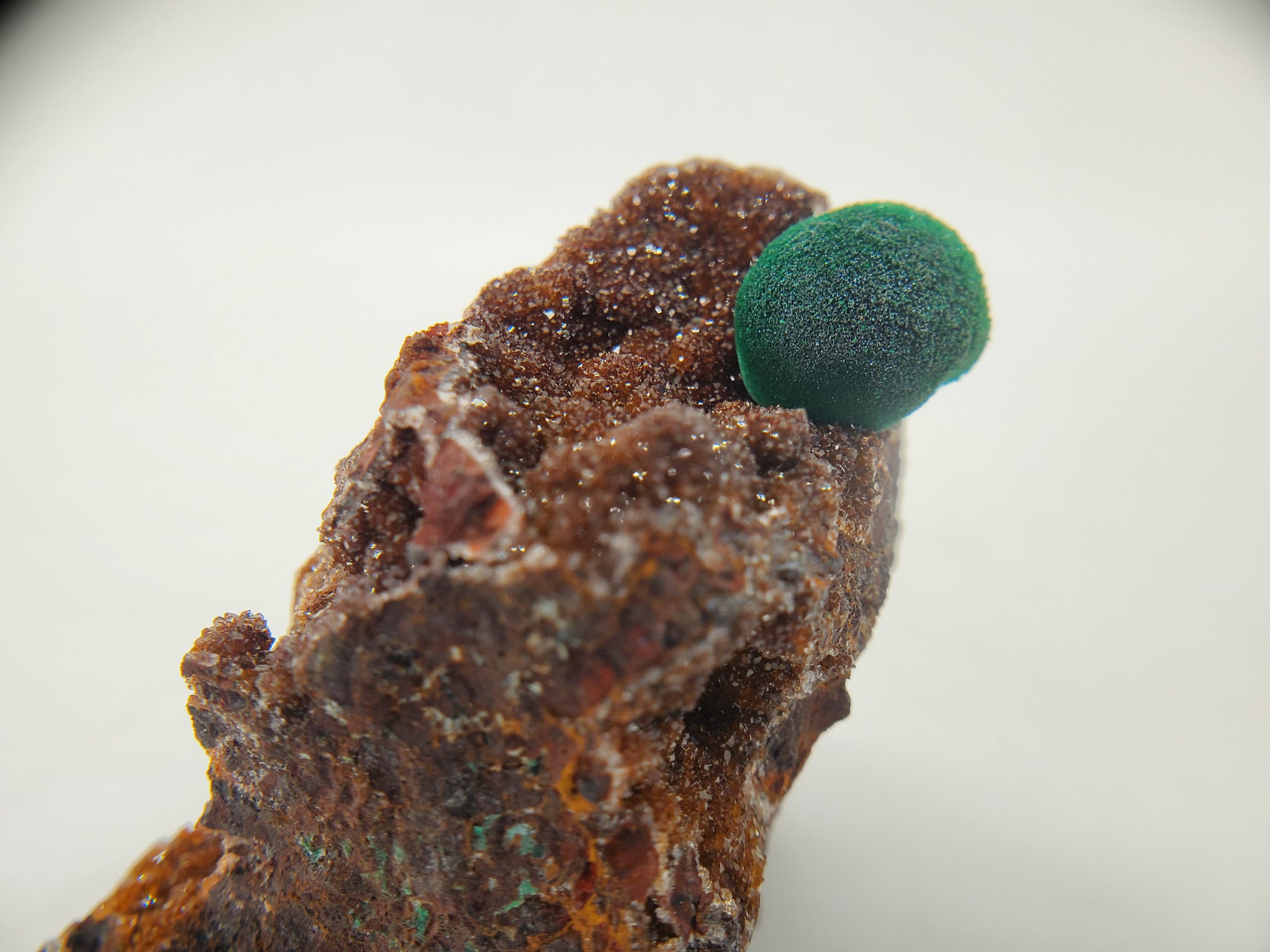 Botryoidal Malachite with Druzy Quartz, Morocco