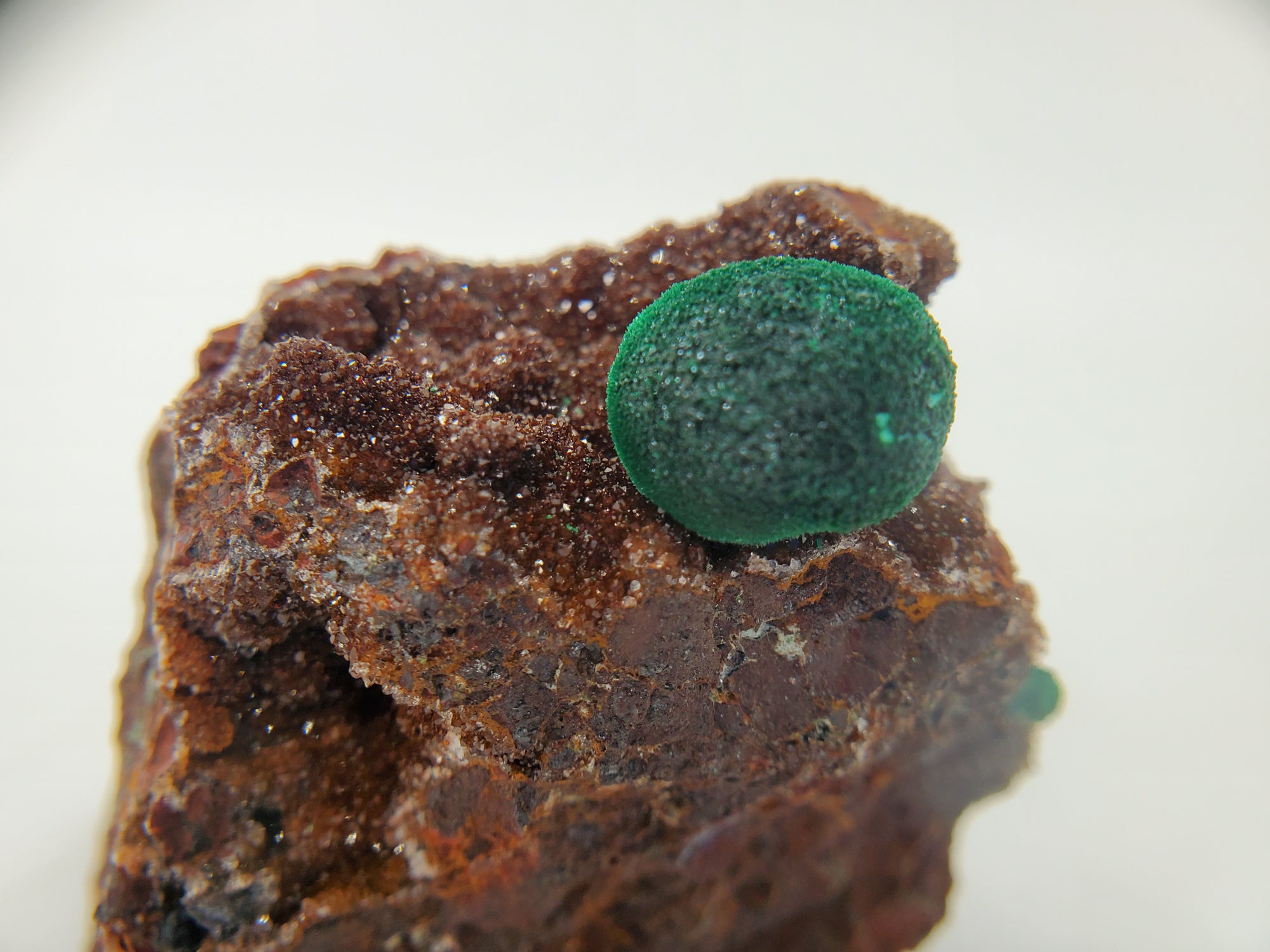 Botryoidal Malachite with Druzy Quartz, Morocco
