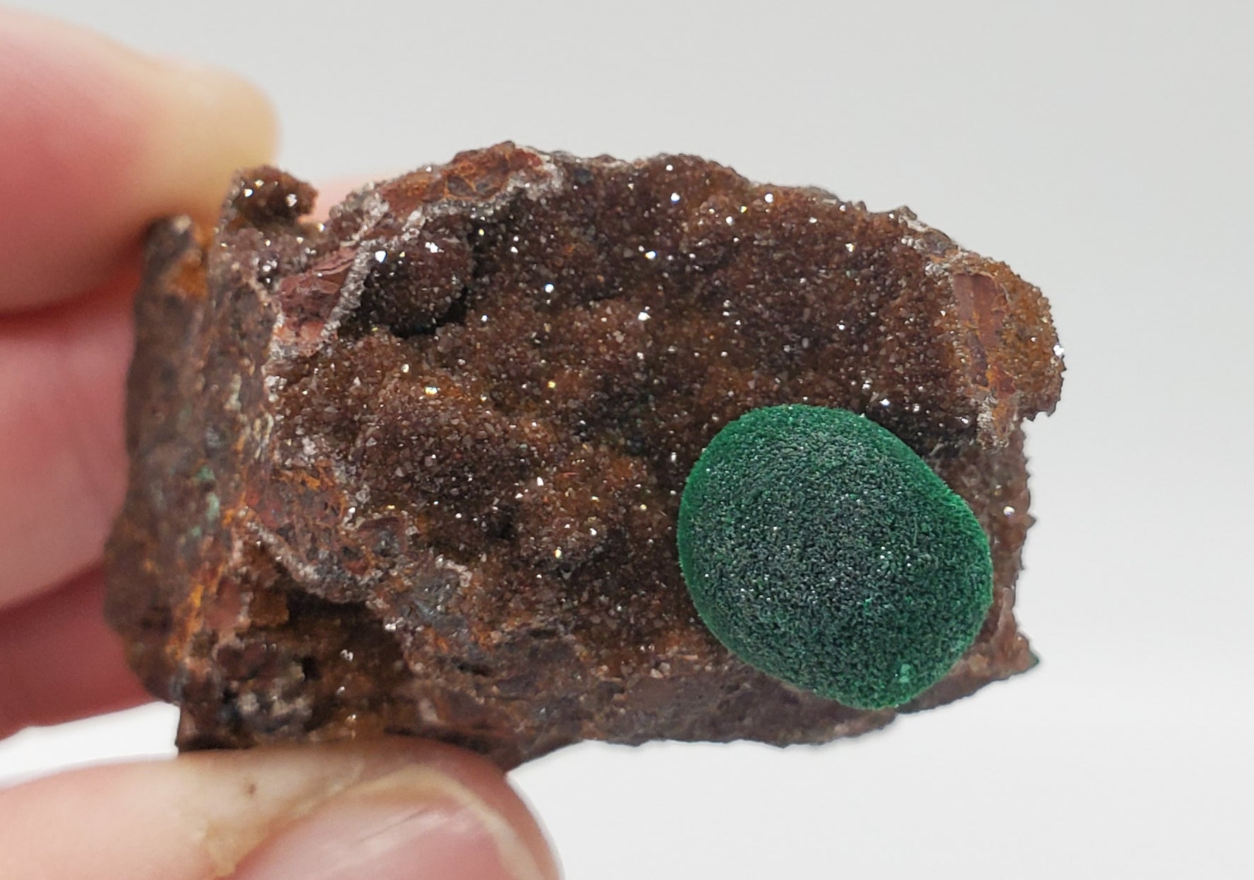 Botryoidal Malachite with Druzy Quartz, Morocco