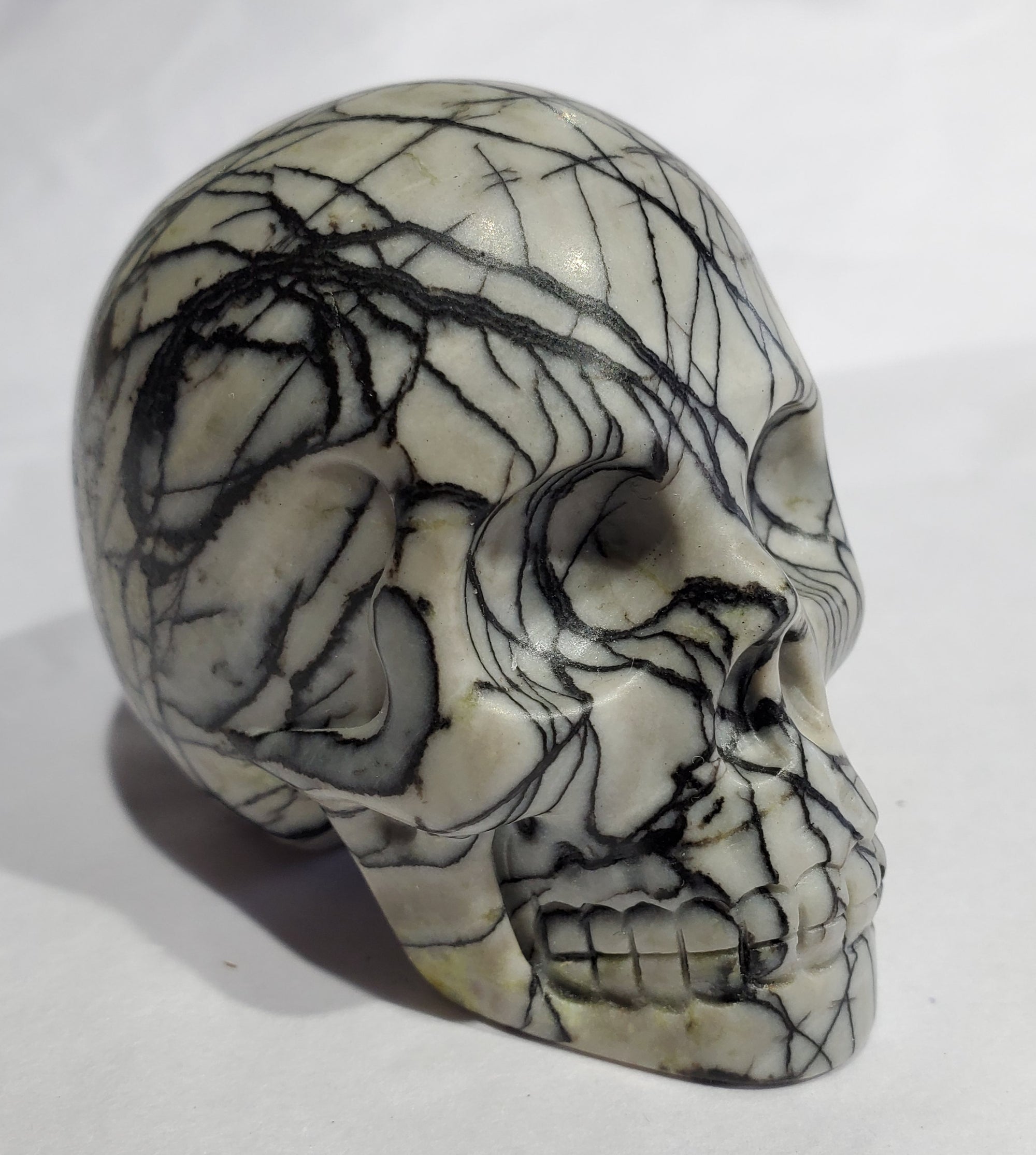 Picasso Jasper Skull