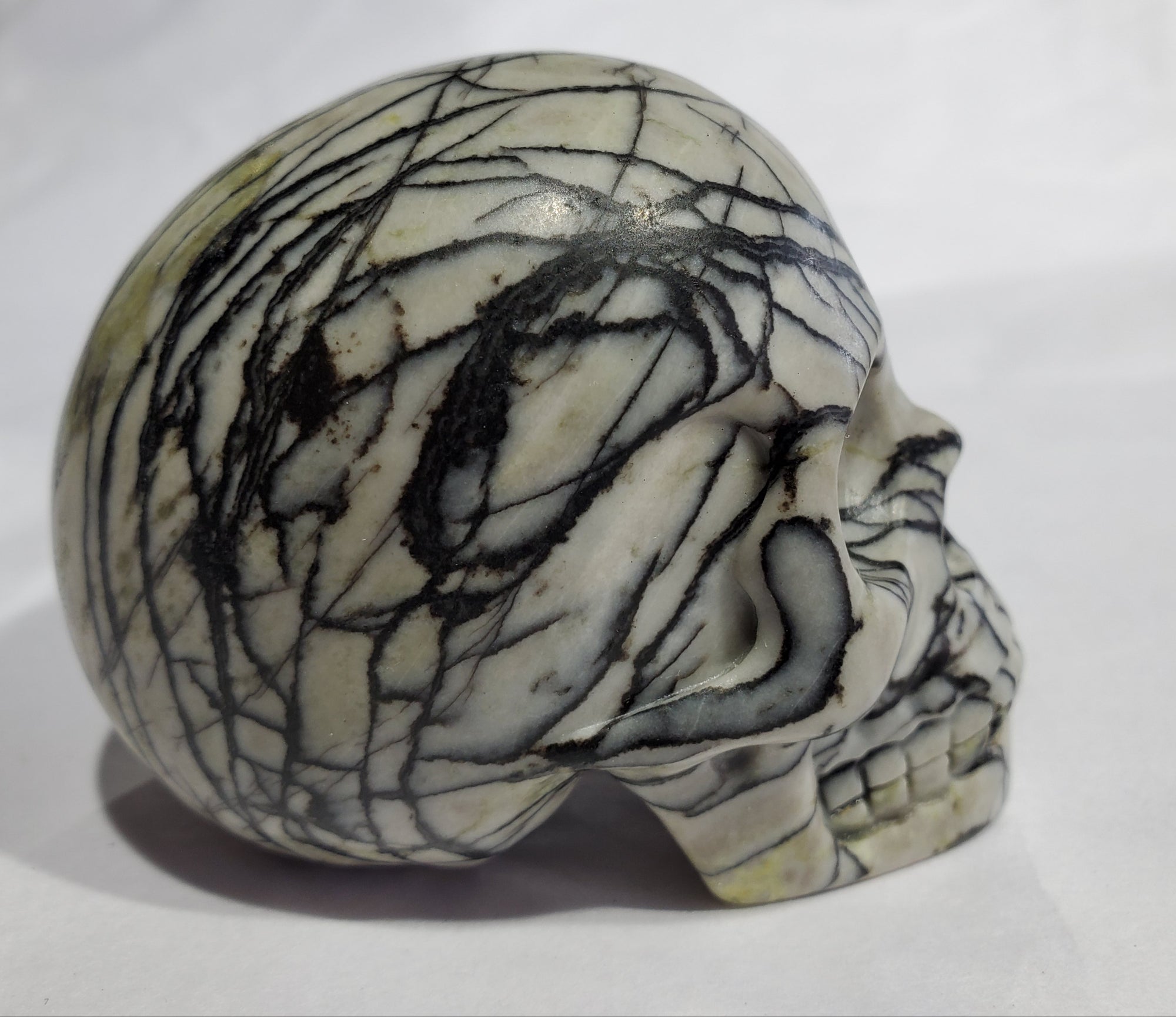 Picasso Jasper Skull
