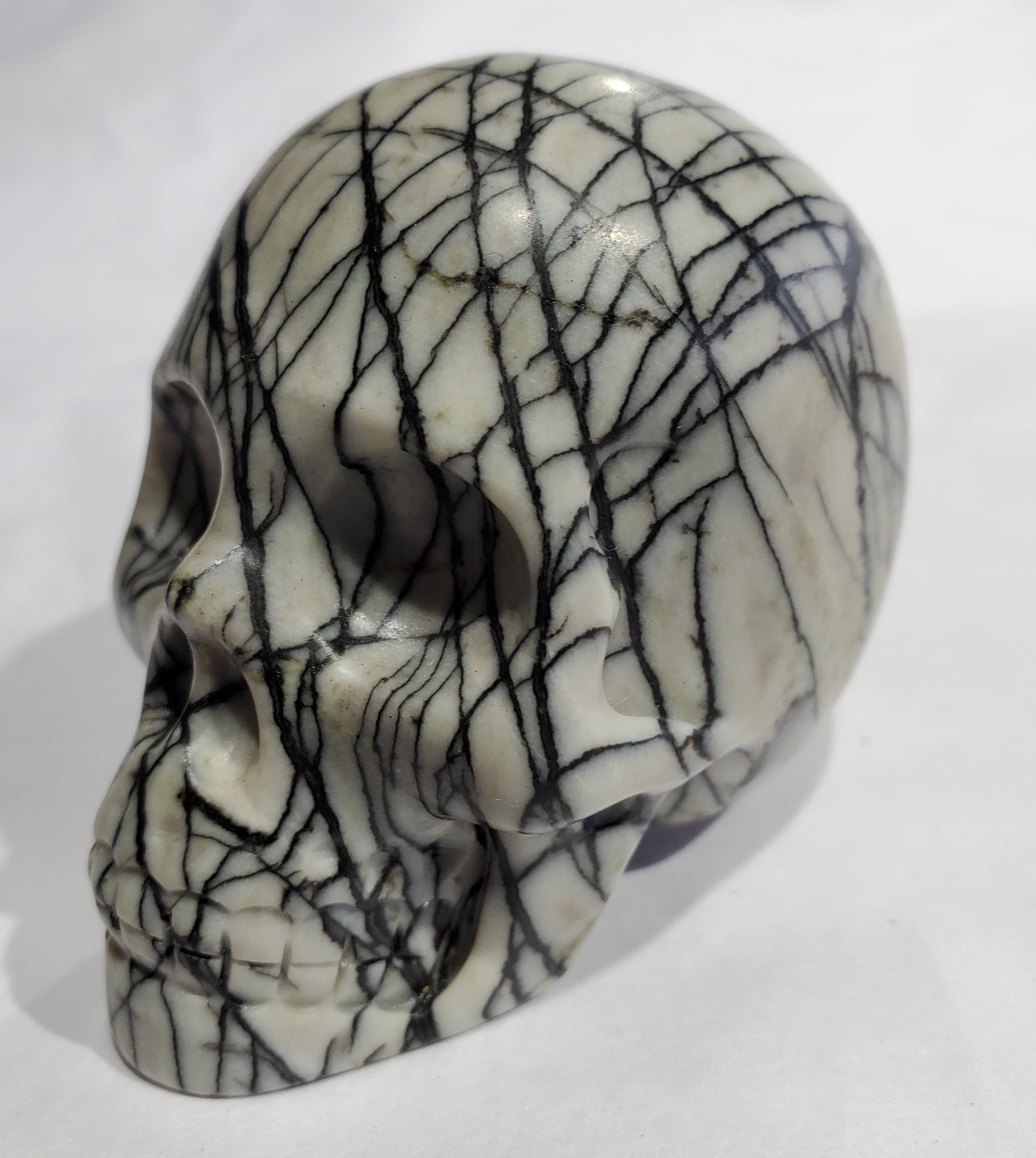 Picasso Jasper Skull