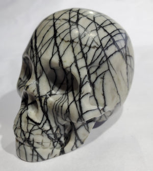 Picasso Jasper Skull