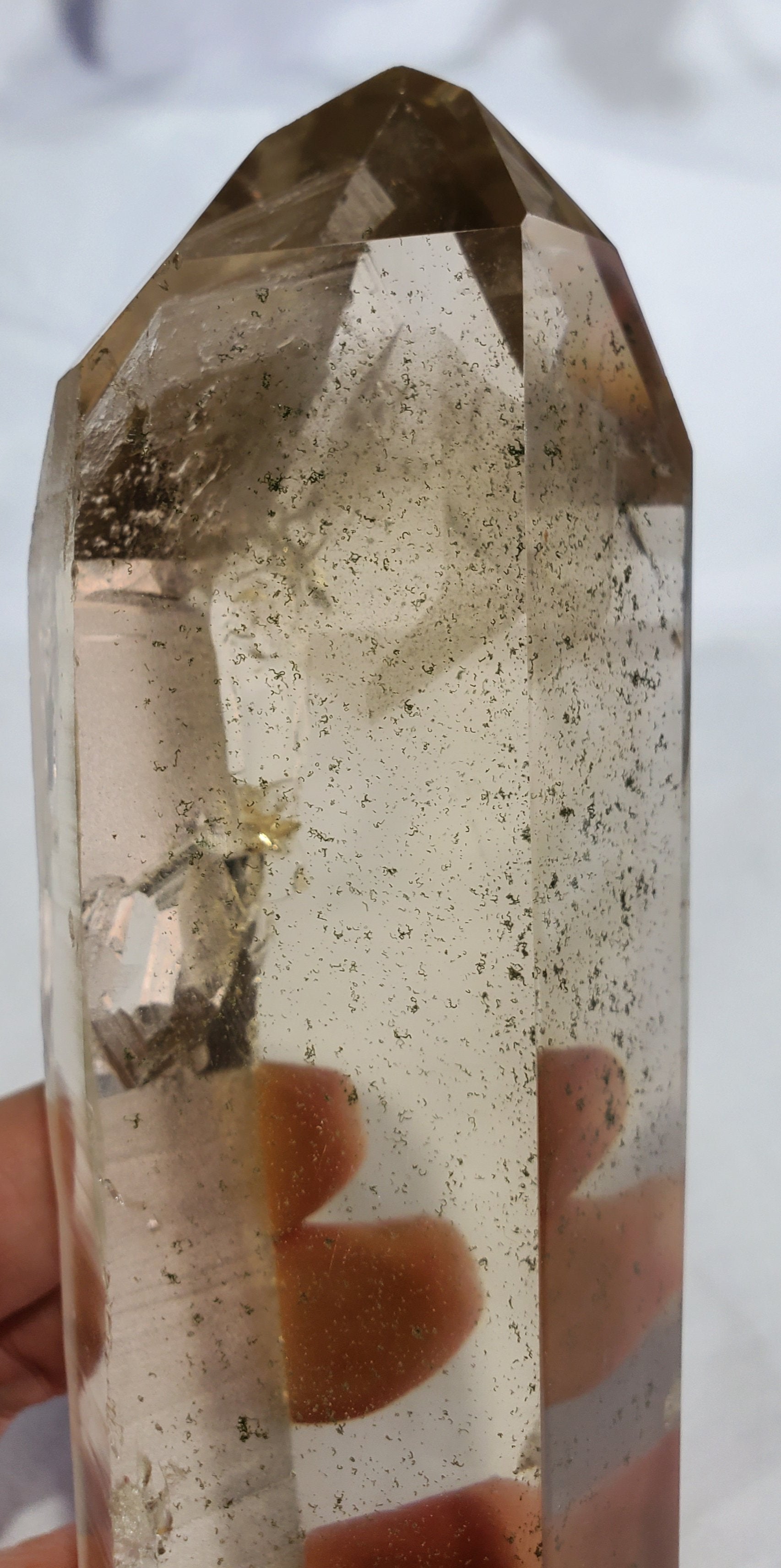 Double Terminated Natural Citrine Lemurian w/ Chlorite Phantom