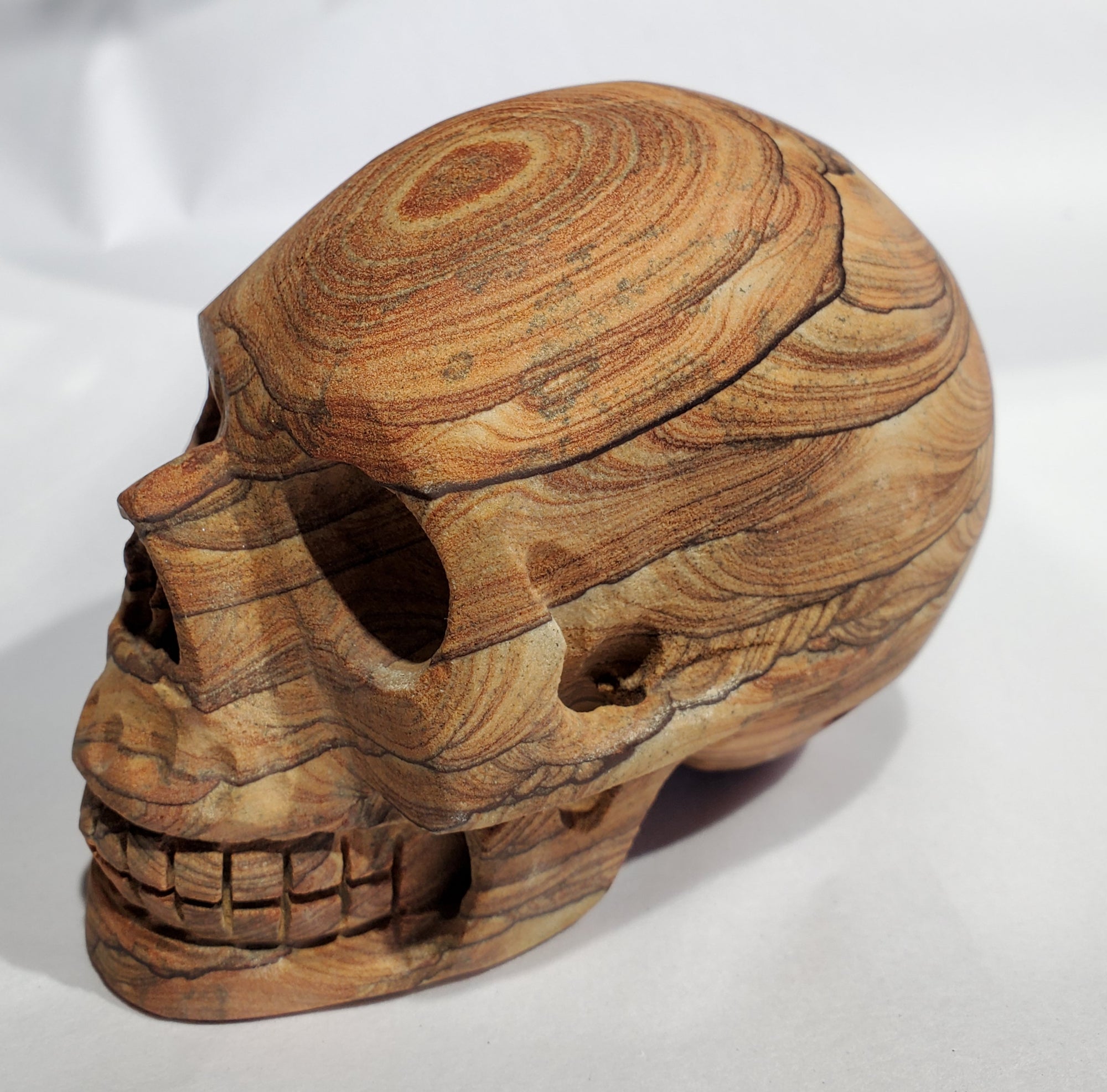 Sandstone Skull