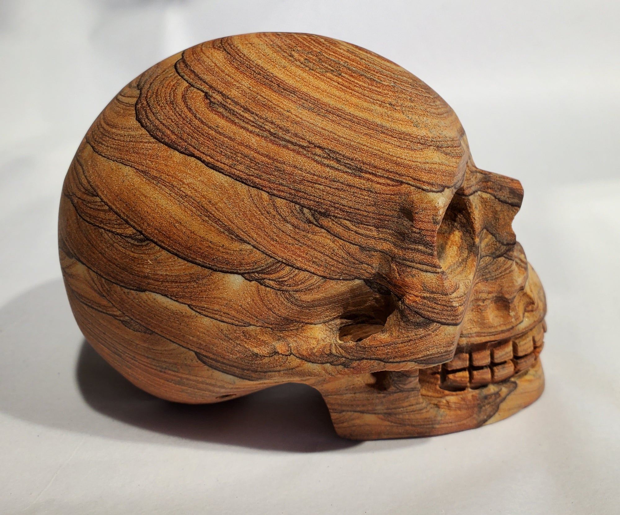 Sandstone Skull