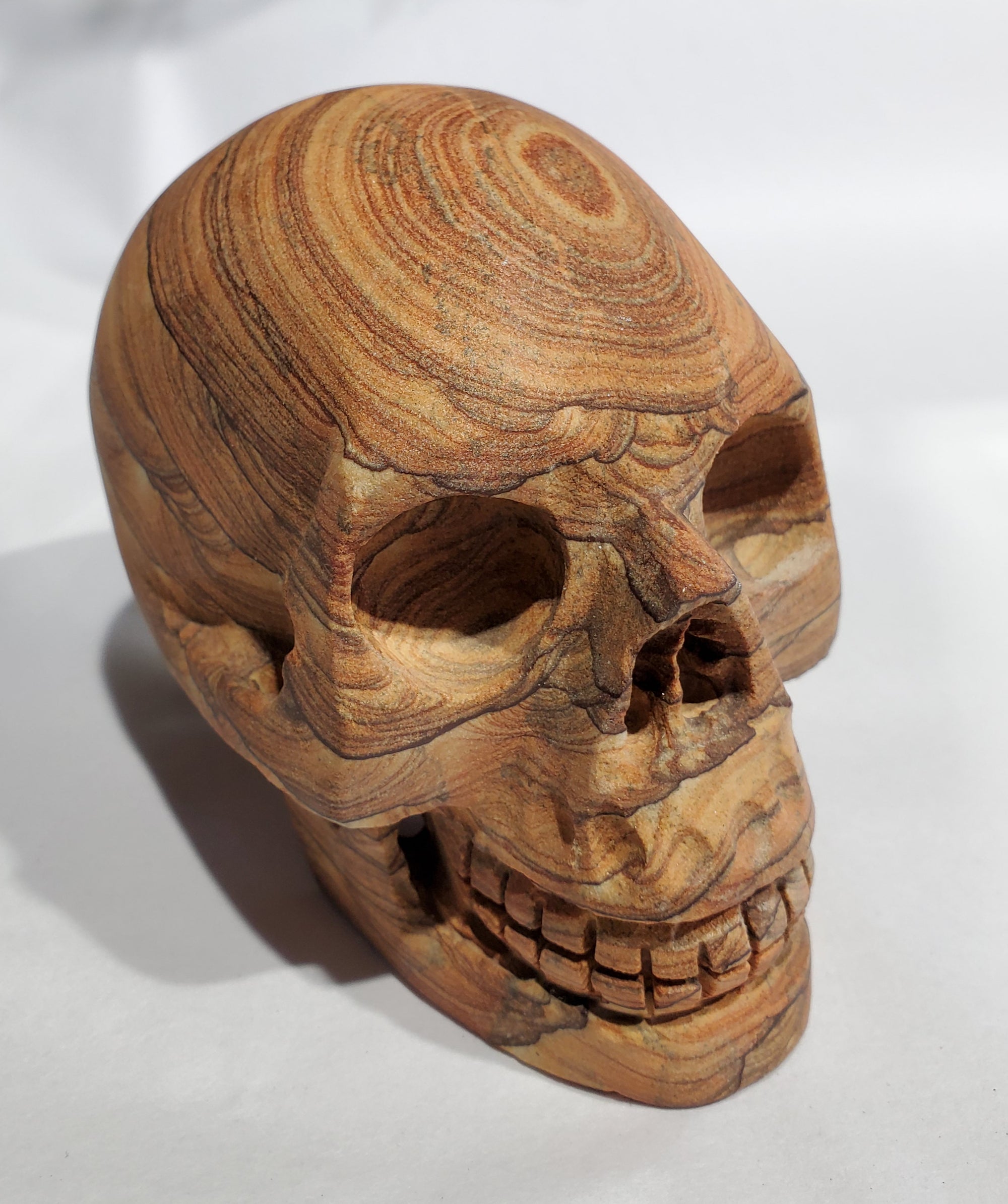 Sandstone Skull