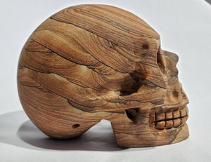 Sandstone Skull