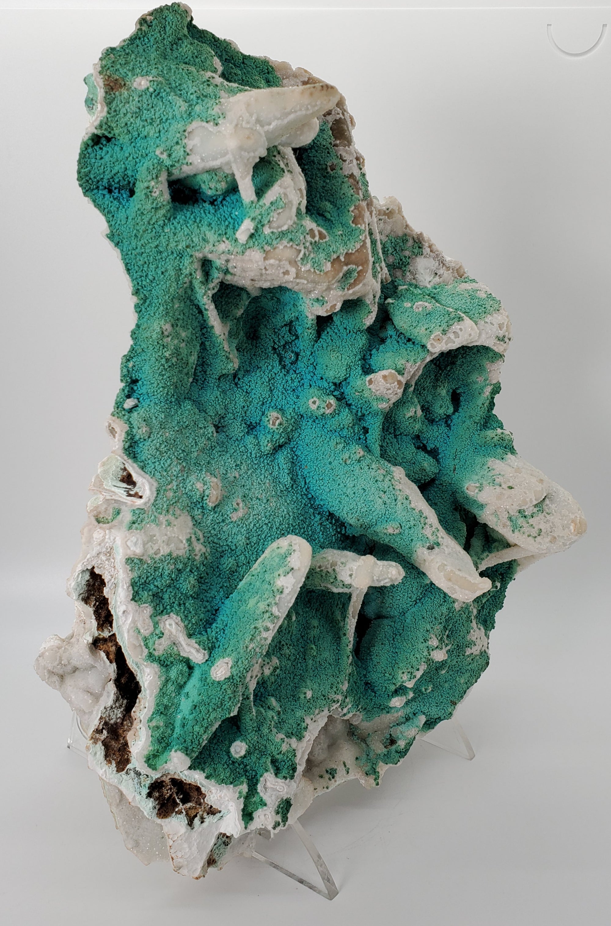 Chrysocolla with Quartz (Congo)