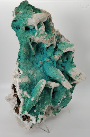 Chrysocolla with Quartz (Congo)