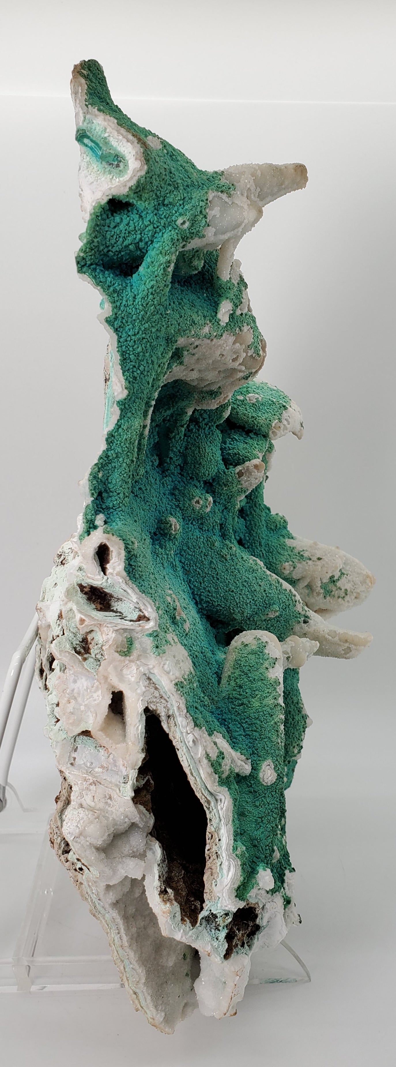 Chrysocolla with Quartz (Congo)
