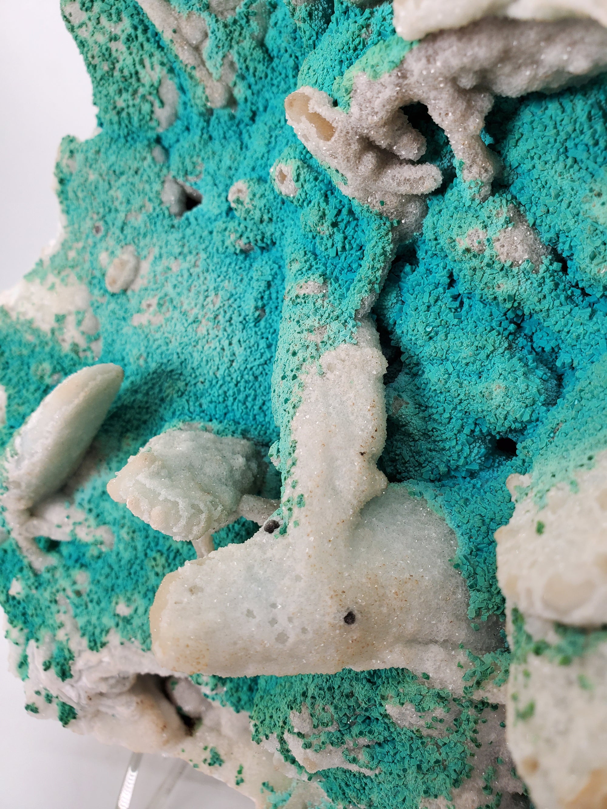 Chrysocolla with Quartz (Congo)