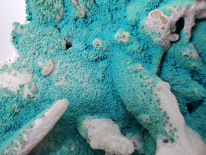 Chrysocolla with Quartz (Congo)