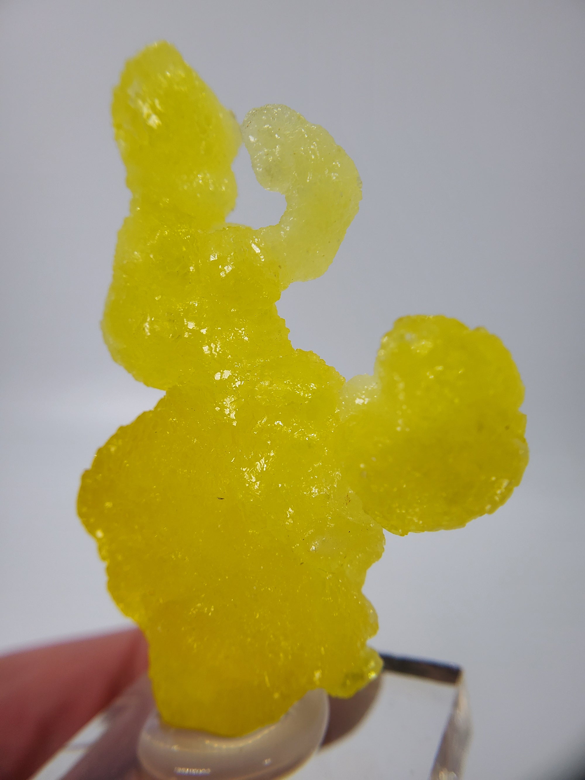 Brucite (Pakistan)