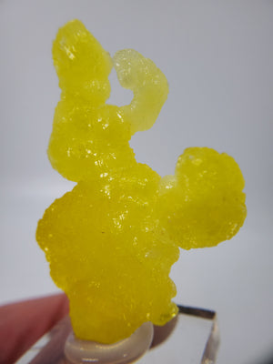 Brucite (Pakistan)