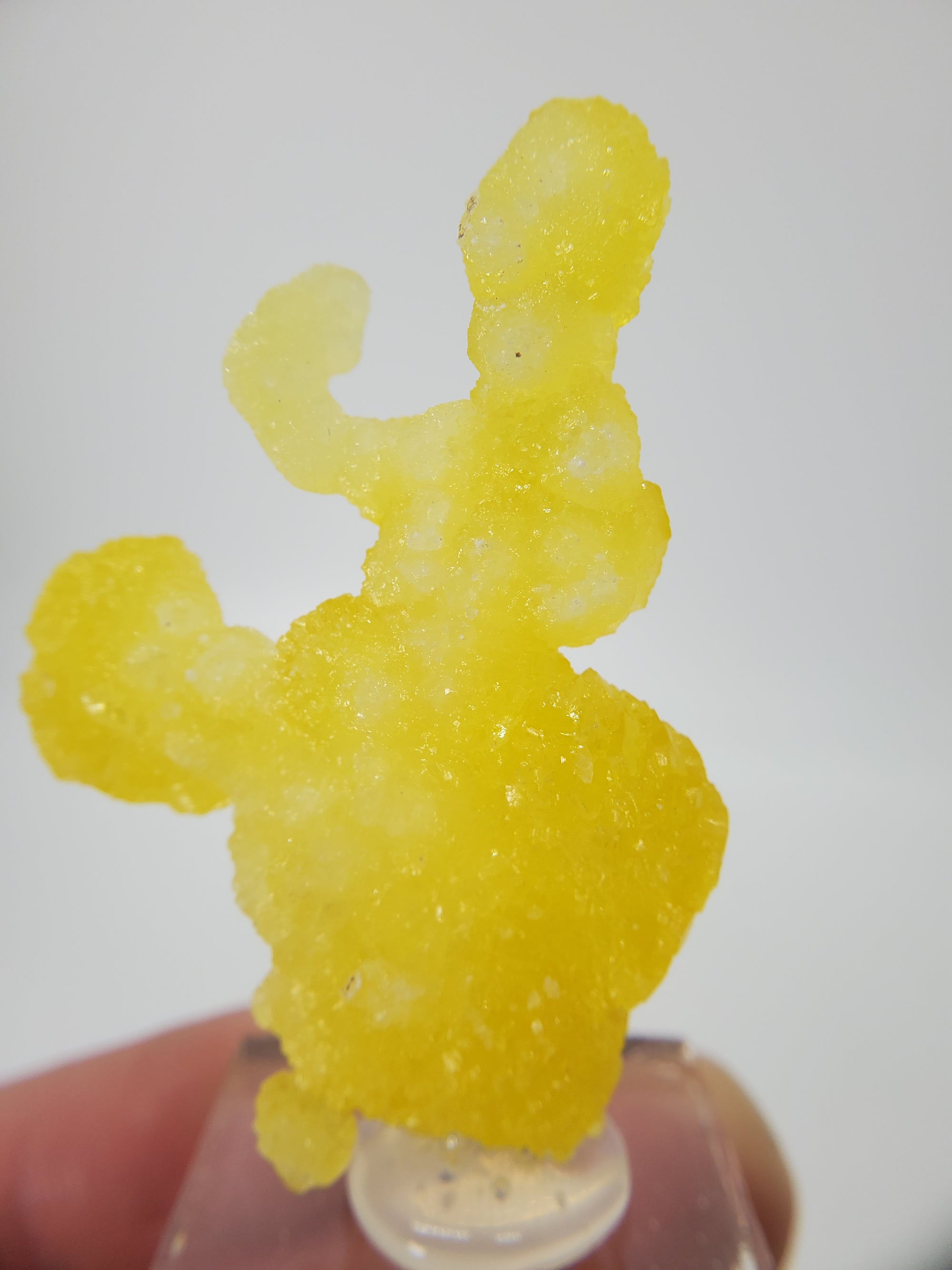 Brucite (Pakistan)