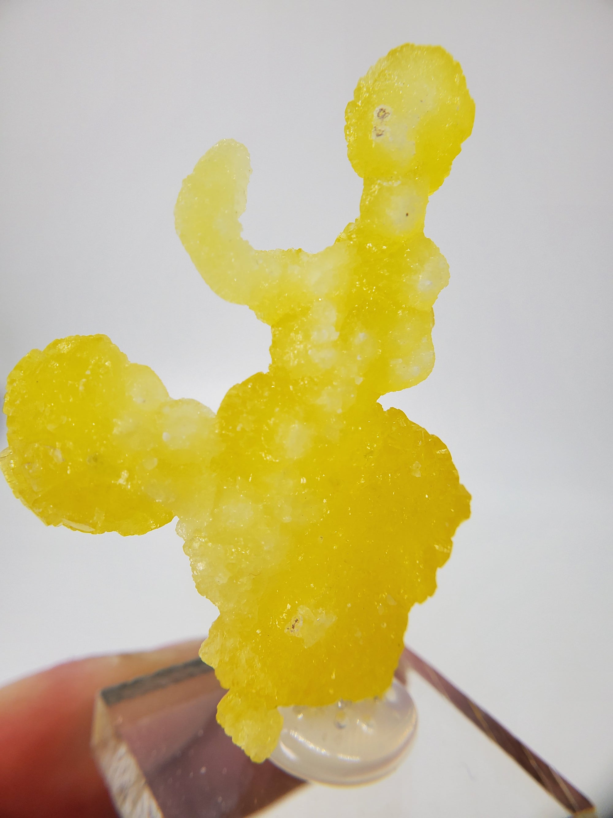 Brucite (Pakistan)