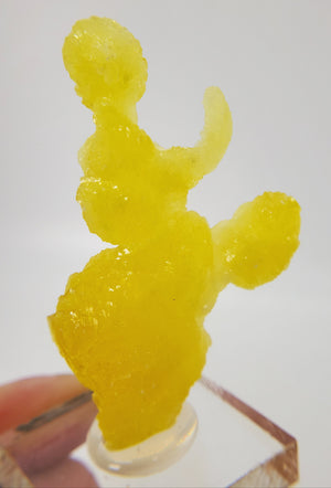 Brucite (Pakistan)