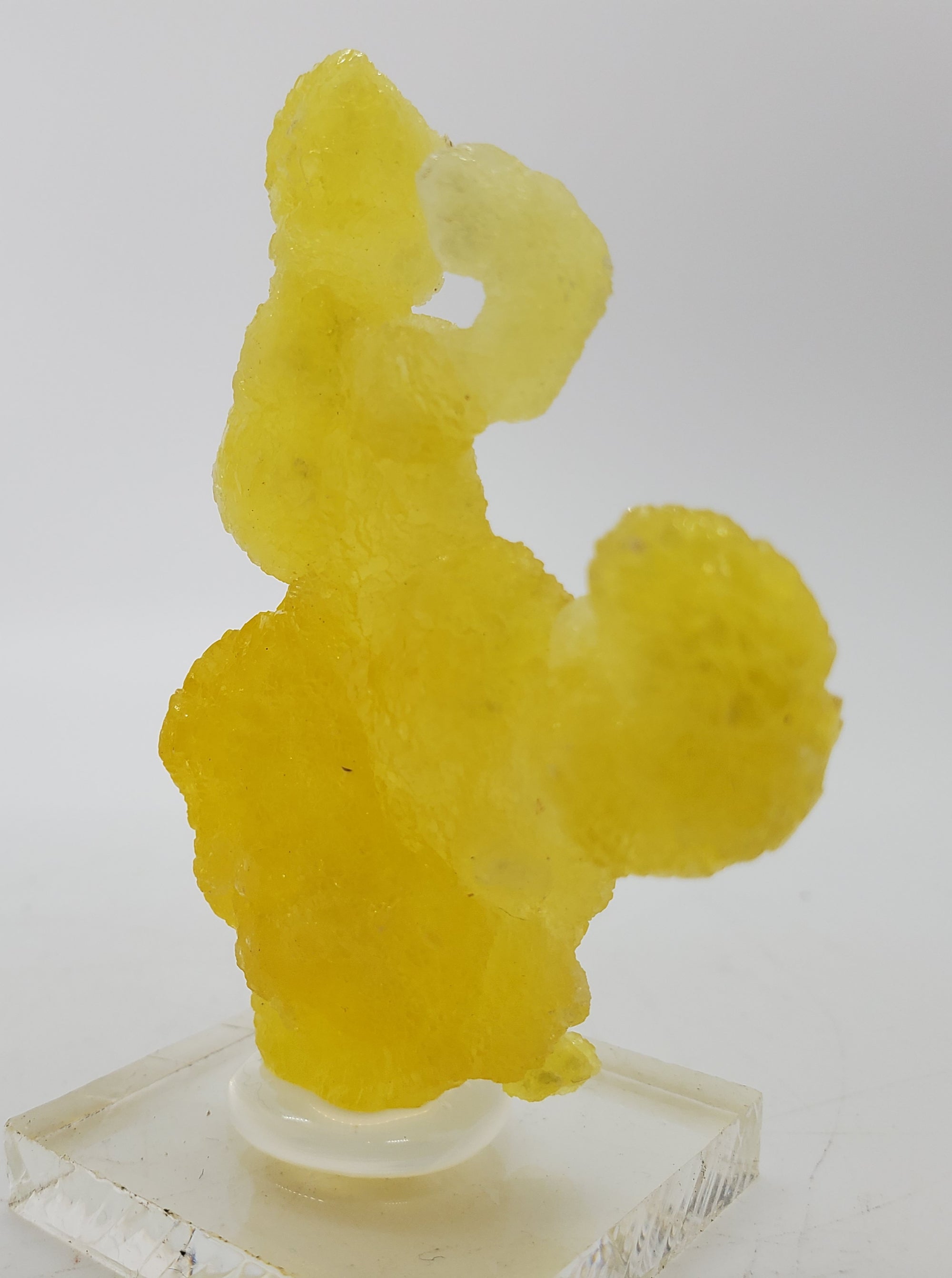 Brucite (Pakistan)