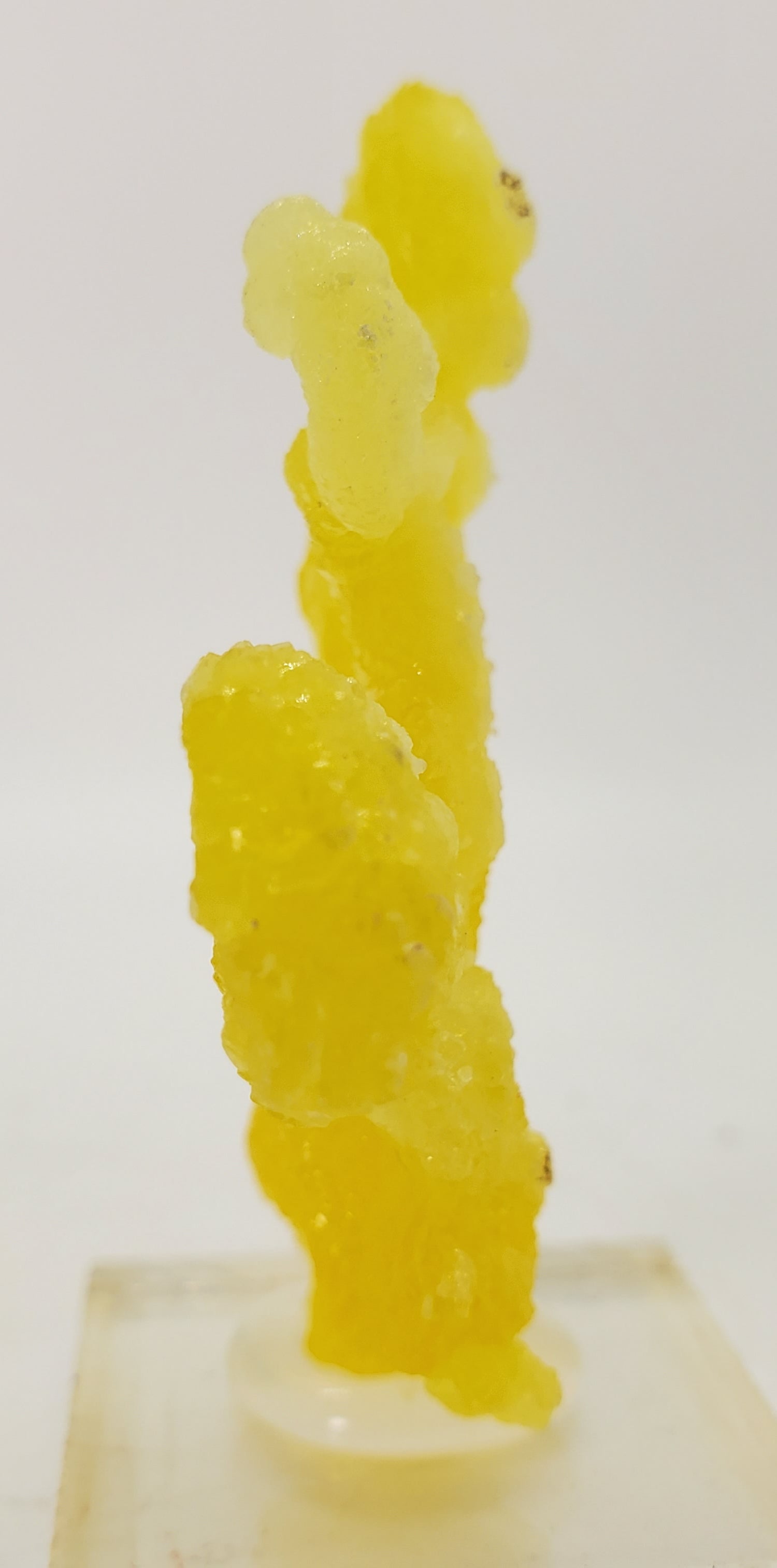 Brucite (Pakistan)