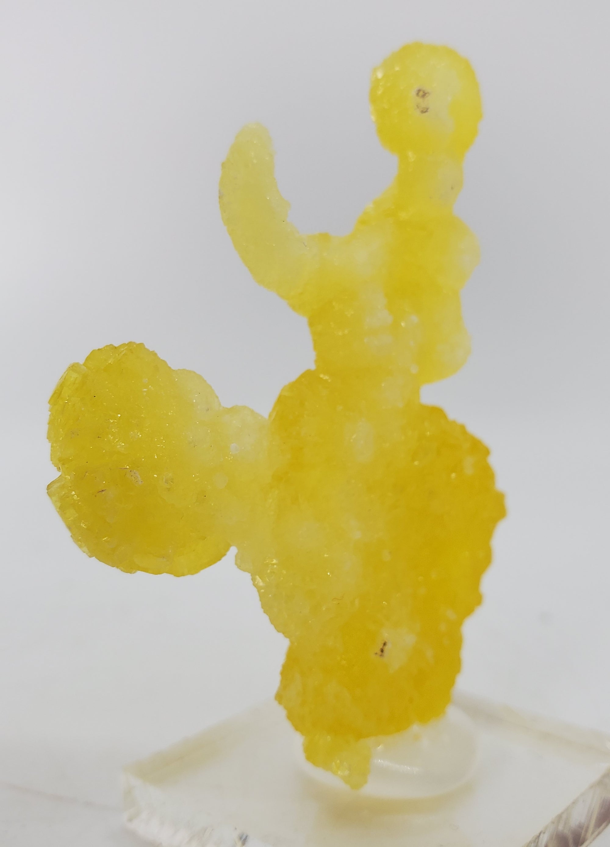 Brucite (Pakistan)