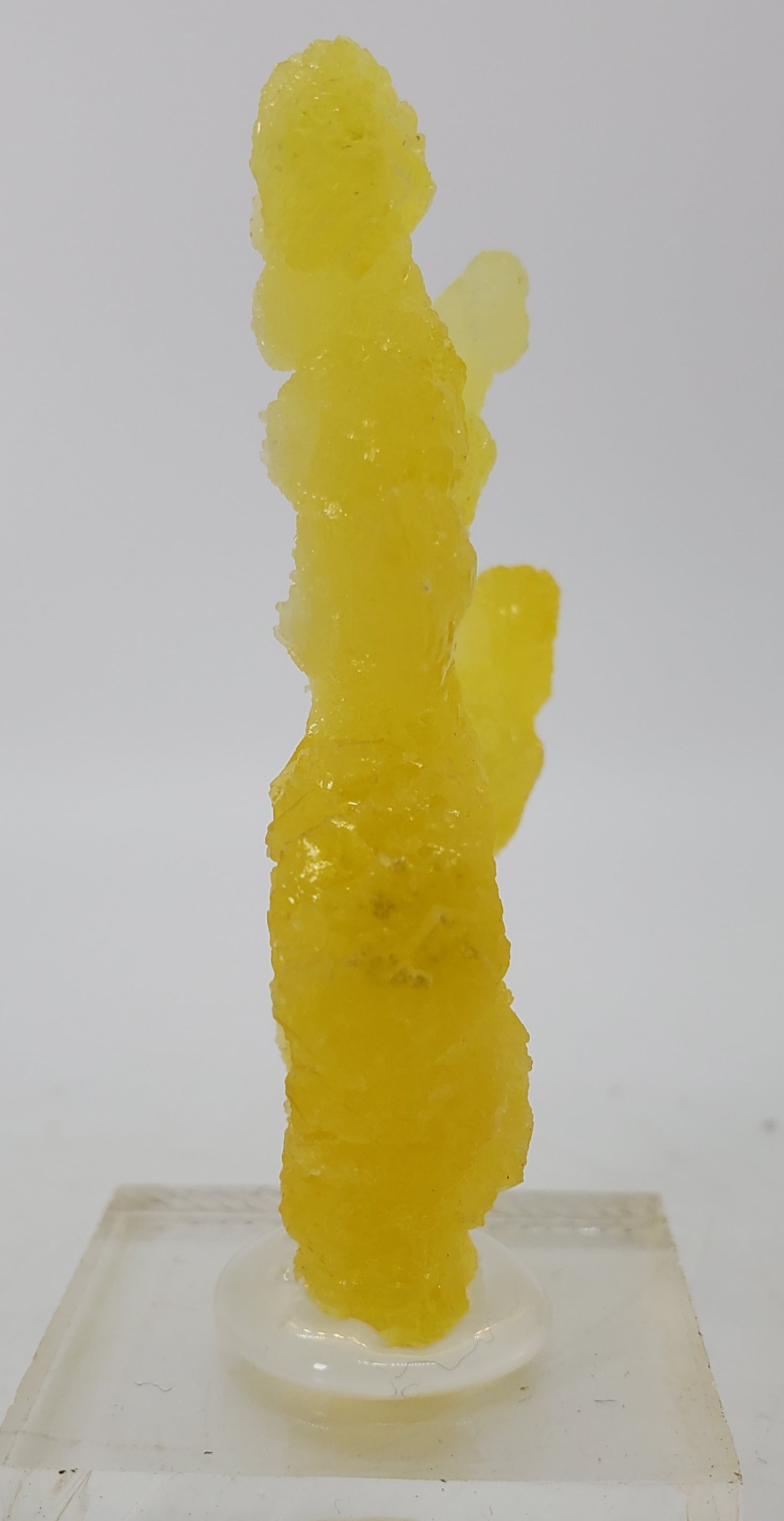 Brucite (Pakistan)