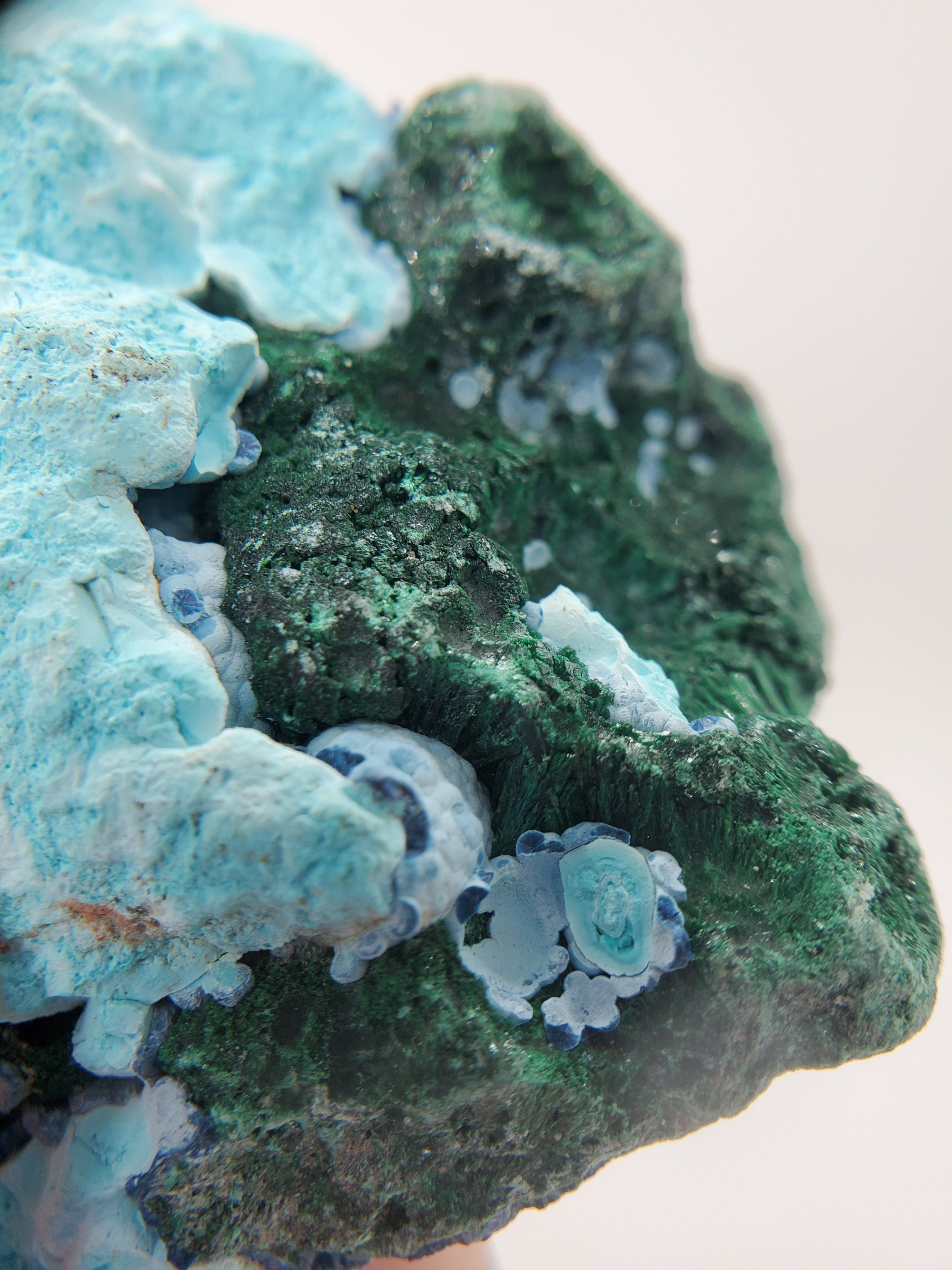 Chrysocolla w/ Malachite and Shattuckite