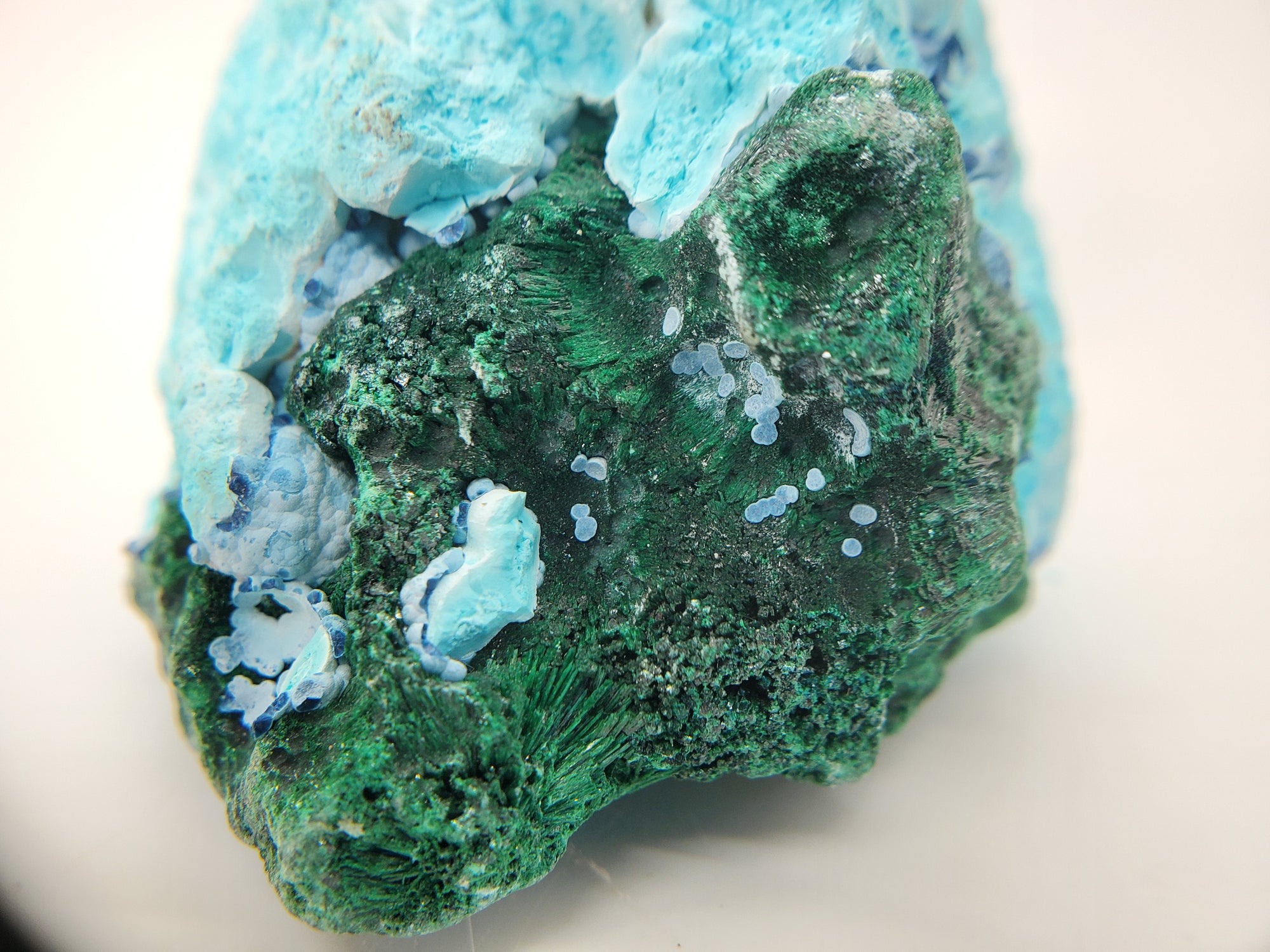 Chrysocolla w/ Malachite and Shattuckite