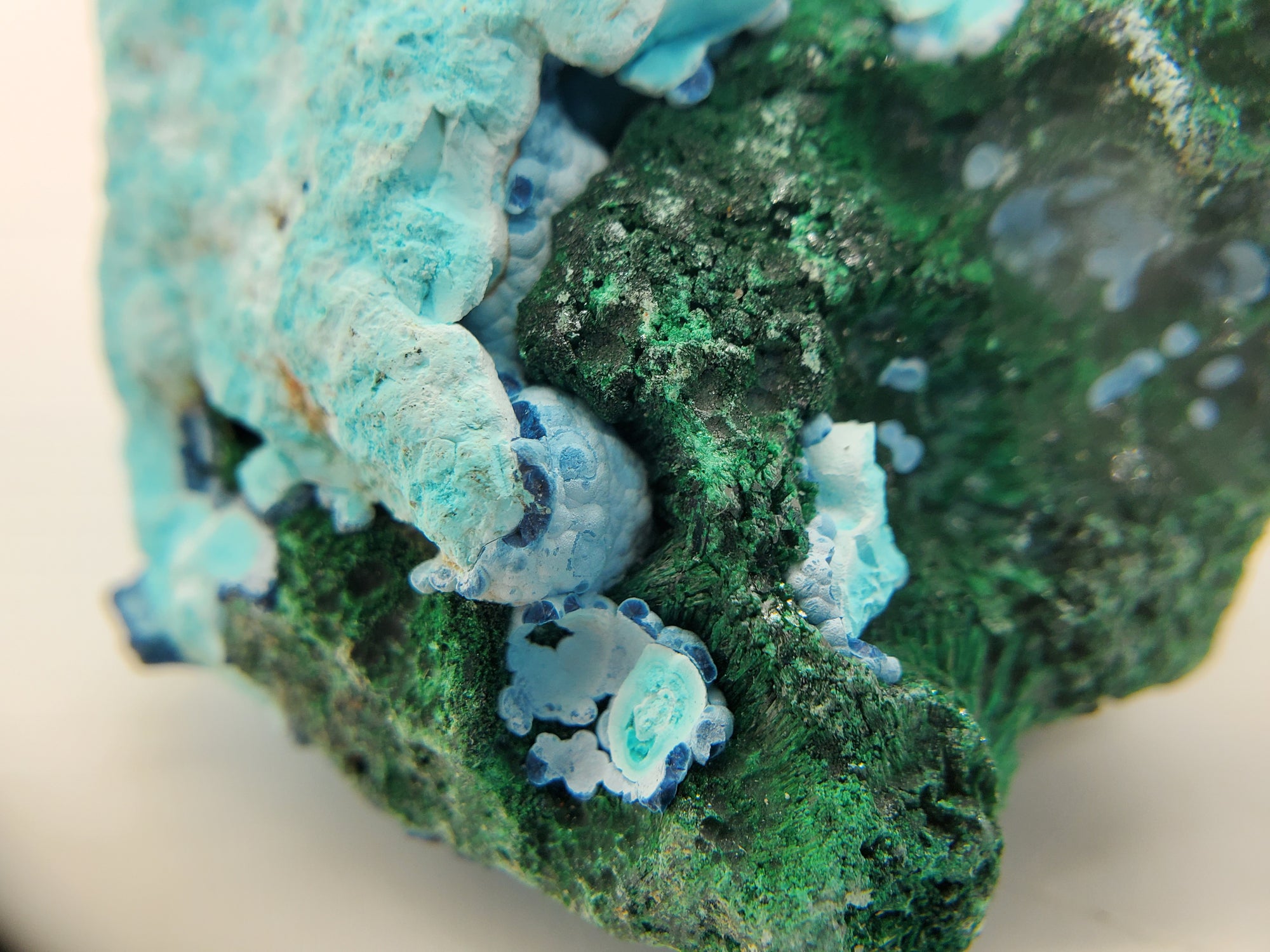 Chrysocolla w/ Malachite and Shattuckite