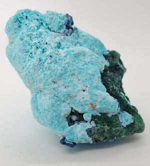 Chrysocolla w/ Malachite and Shattuckite