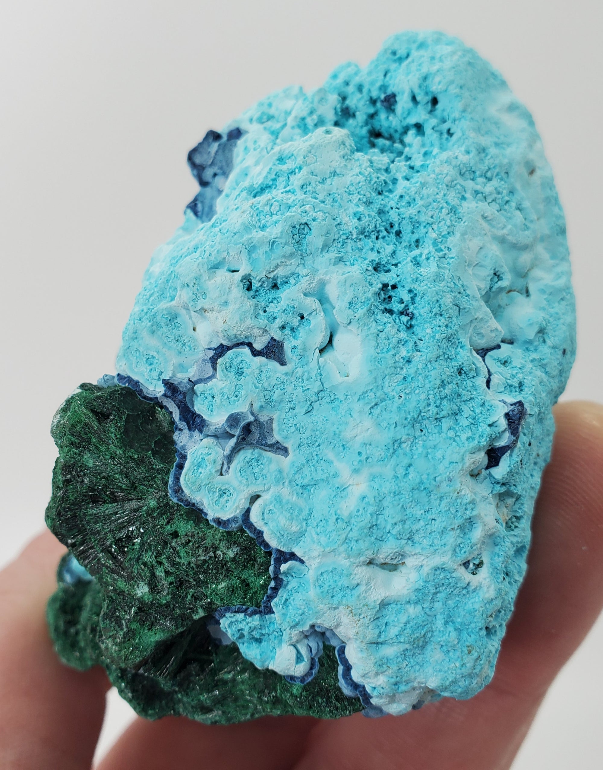 Chrysocolla w/ Malachite and Shattuckite