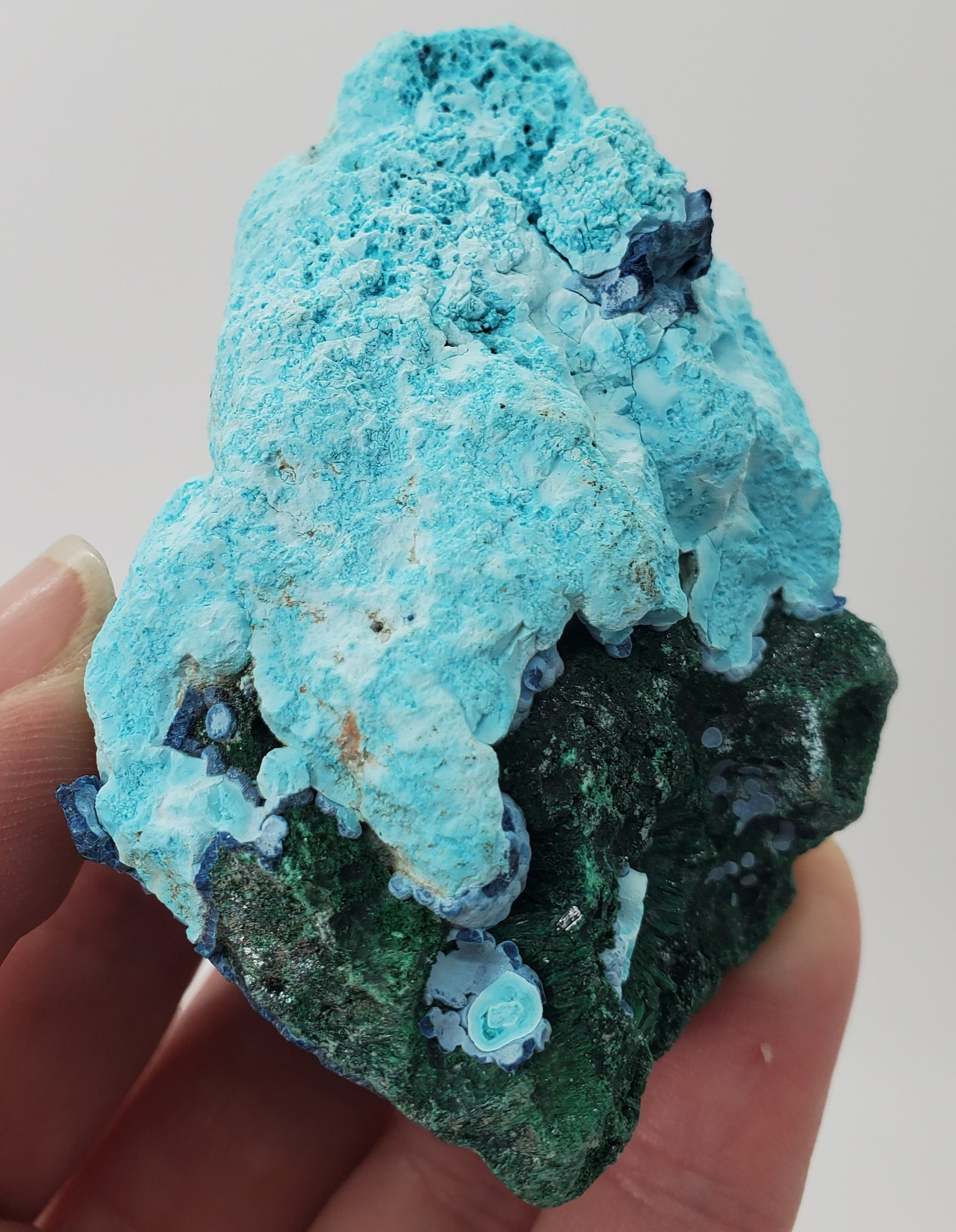 Chrysocolla w/ Malachite and Shattuckite