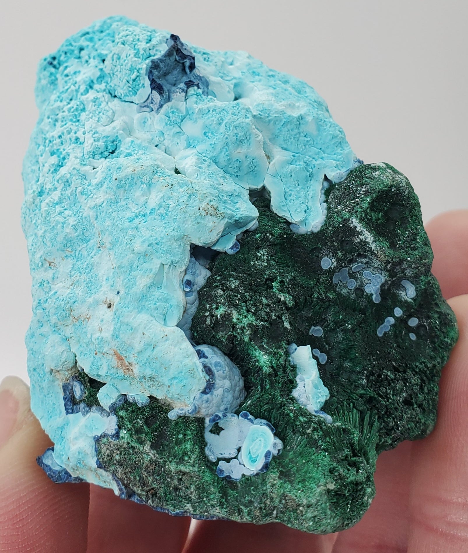 Chrysocolla w/ Malachite and Shattuckite
