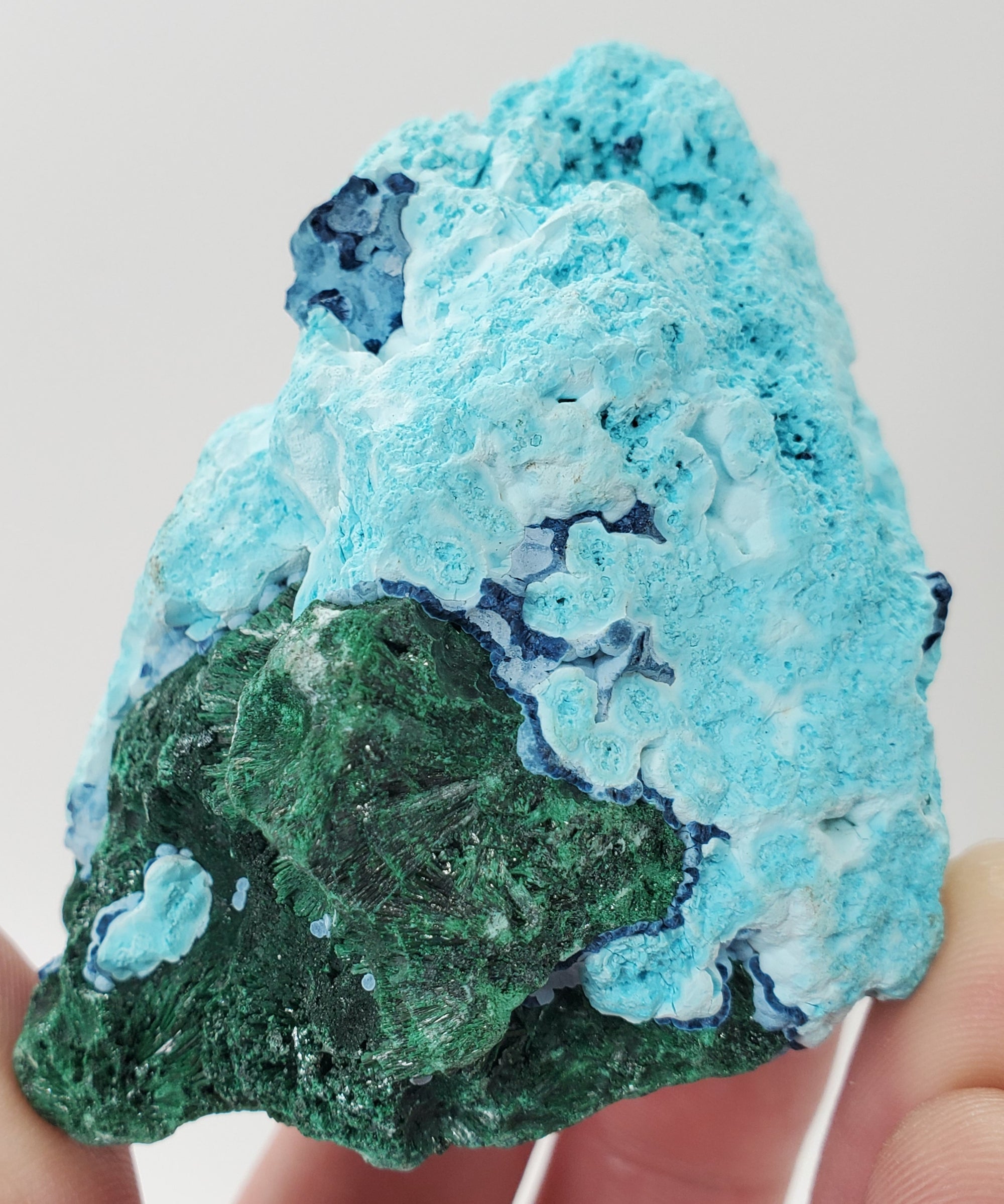 Chrysocolla w/ Malachite and Shattuckite