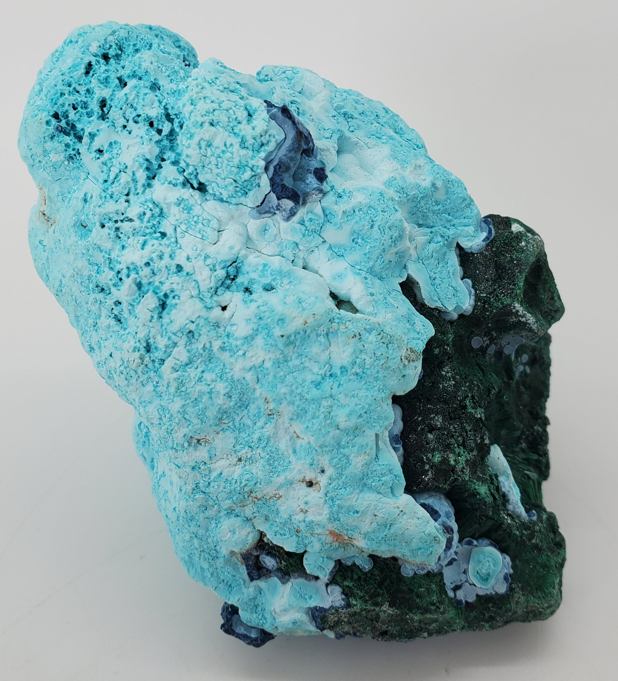 Chrysocolla w/ Malachite and Shattuckite