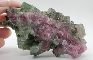 Bi-Colored Tourmaline