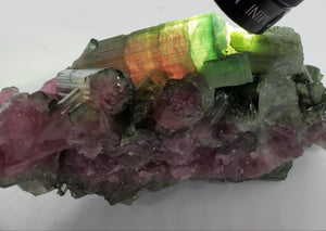 Bi-Colored Tourmaline