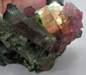 Bi-Colored Tourmaline