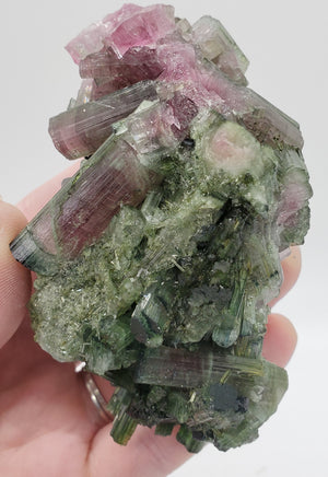 Bi-Colored Tourmaline