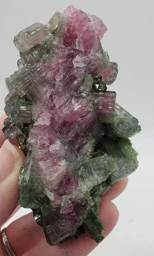 Bi-Colored Tourmaline