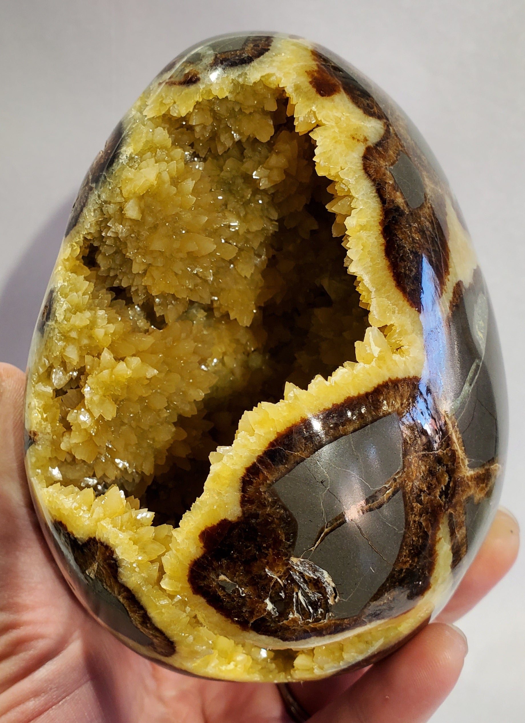 Septerian Egg, Utah