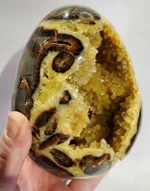 Septerian Egg, Utah