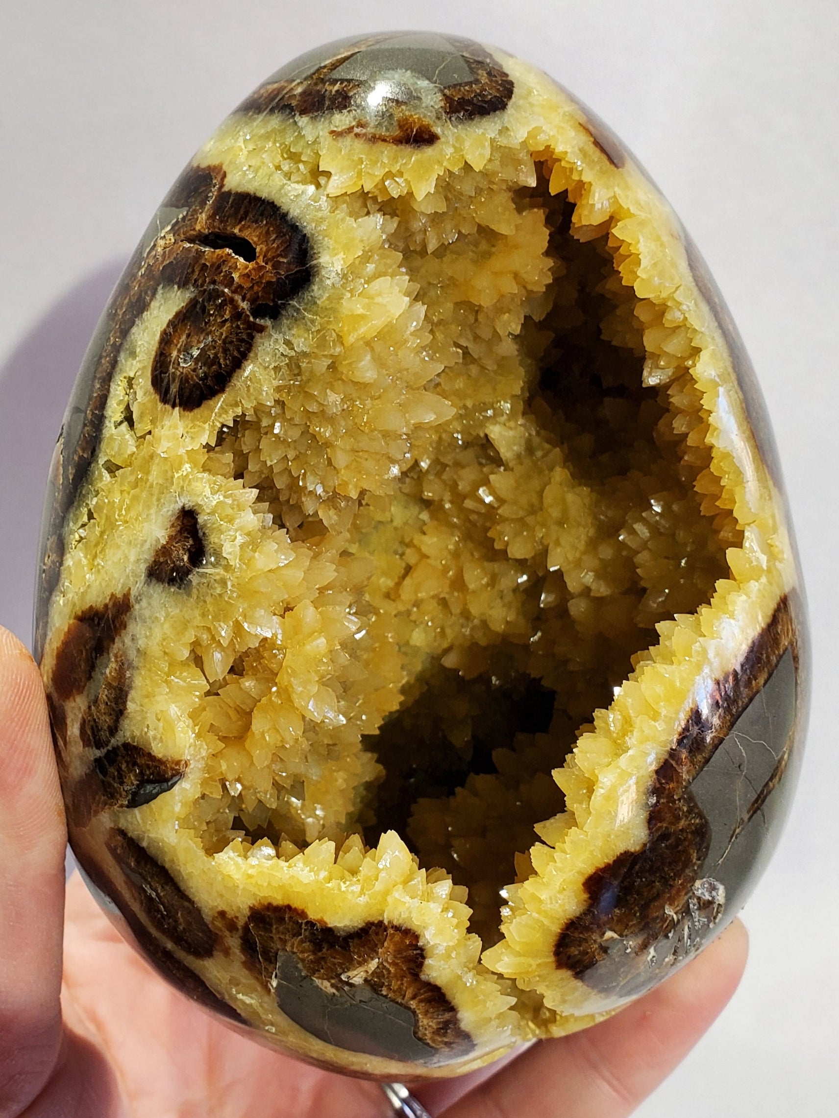 Septerian Egg, Utah