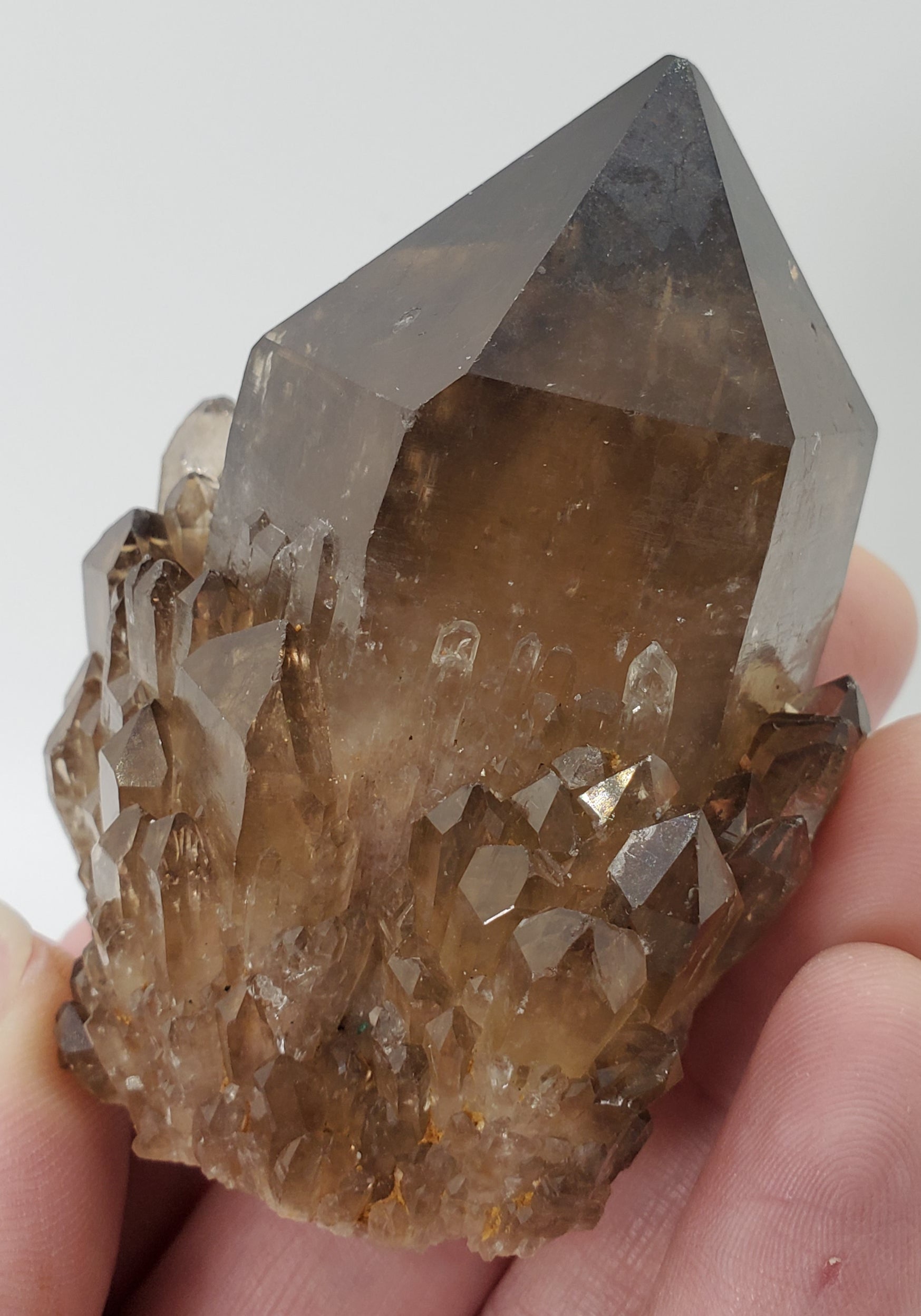 Smoky Citrine, Congo