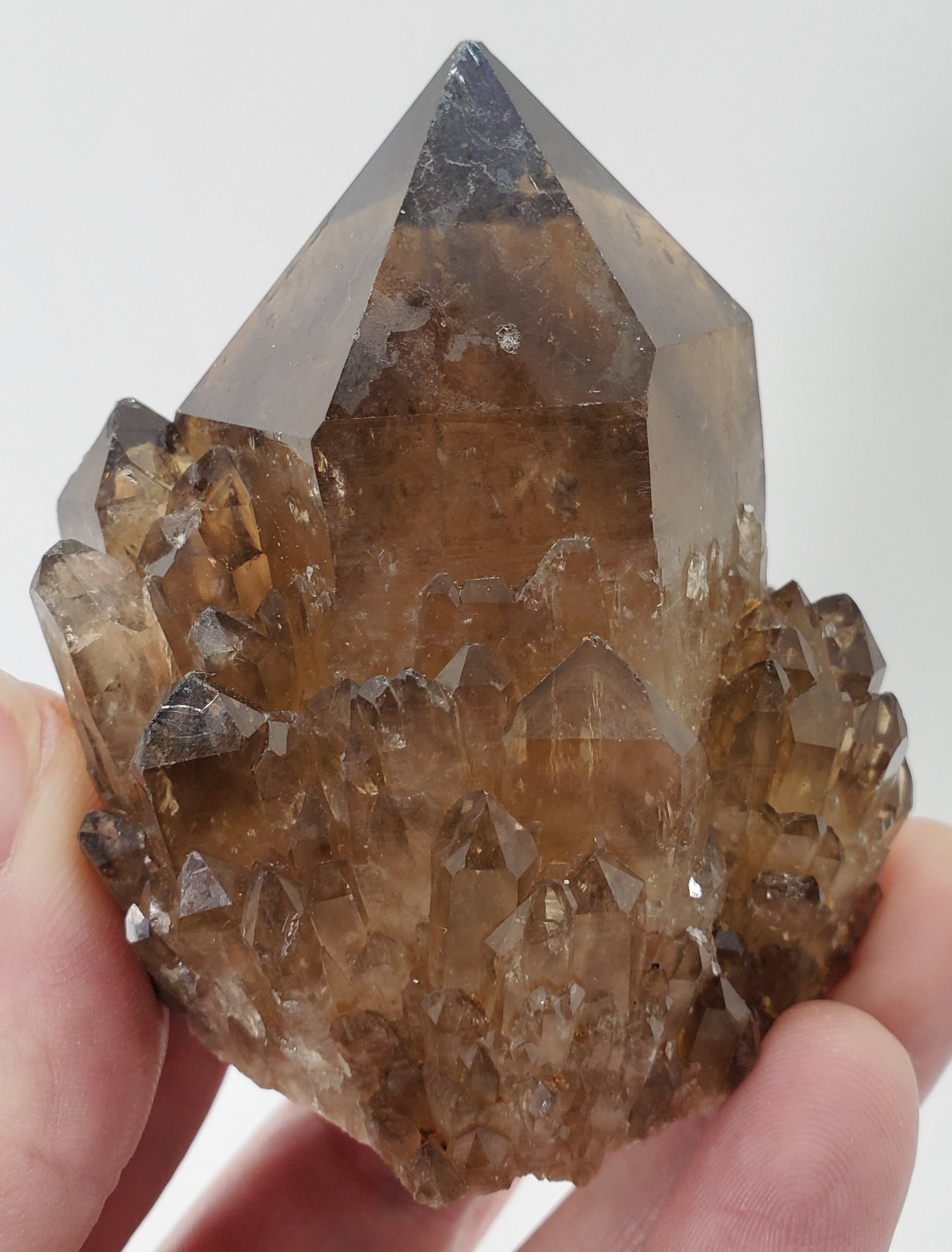 Smoky Citrine, Congo